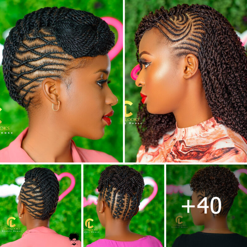 GALLERY-40-Braided-Hairstyles-2024-Pictures-800x800.jpg (800×800)