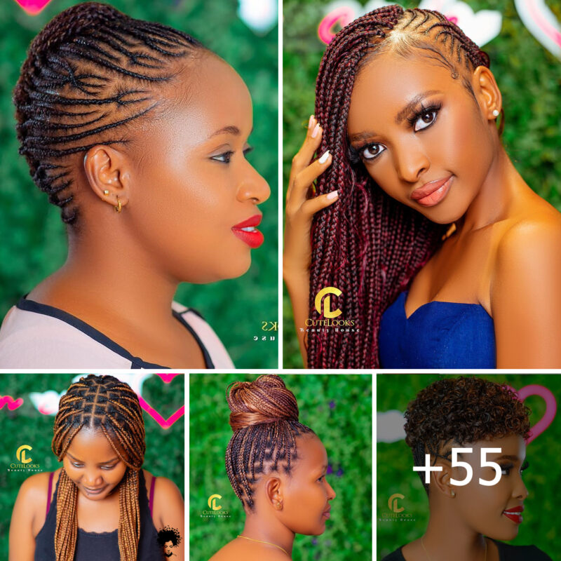 GALLERY-55-Braided-Hairstyles-2024-Pictures-800x800.jpg (800×800)