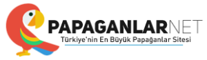 Papağanlar Logo